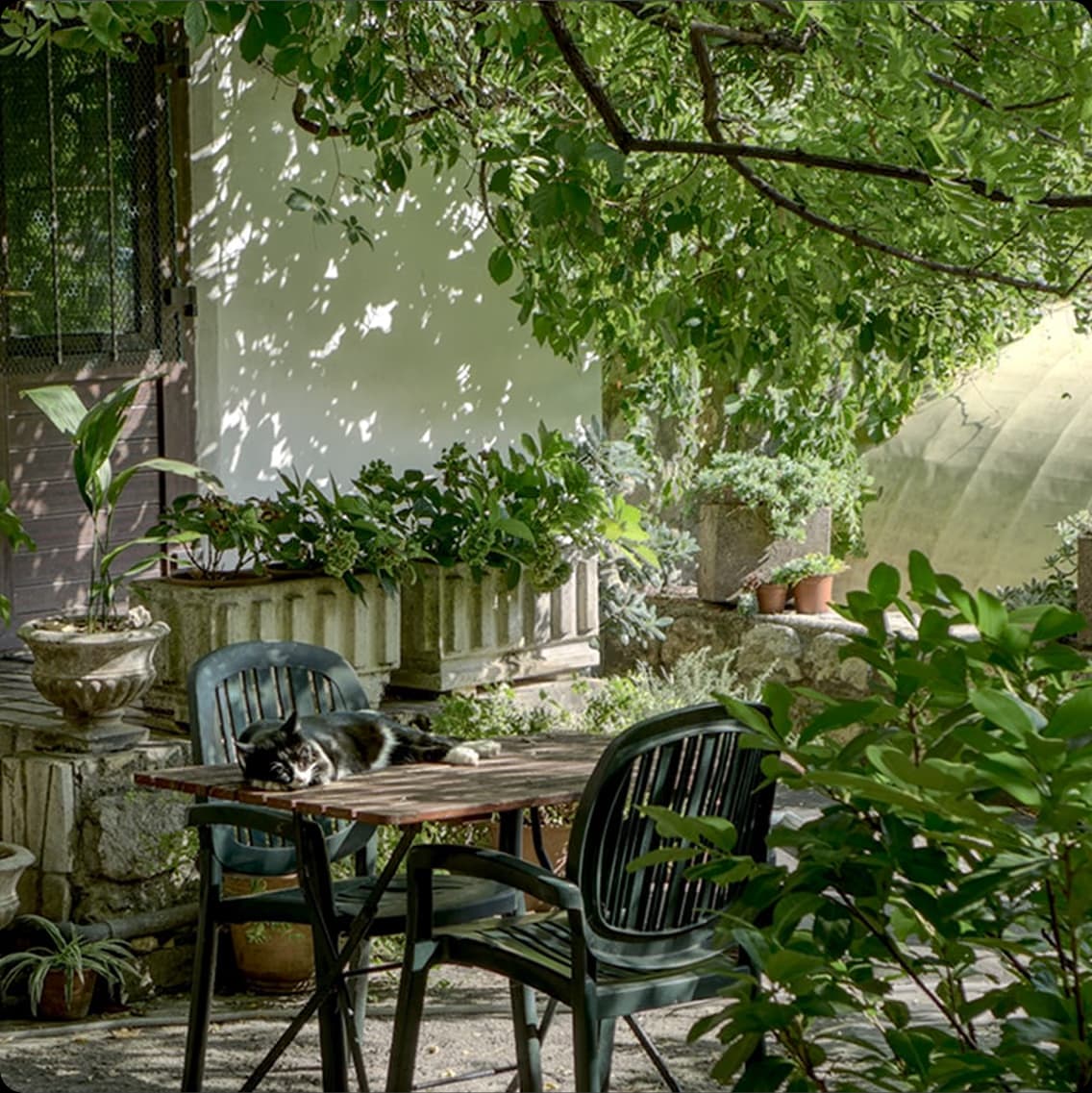 Beautifully designed outdoor garden space with lush greenery